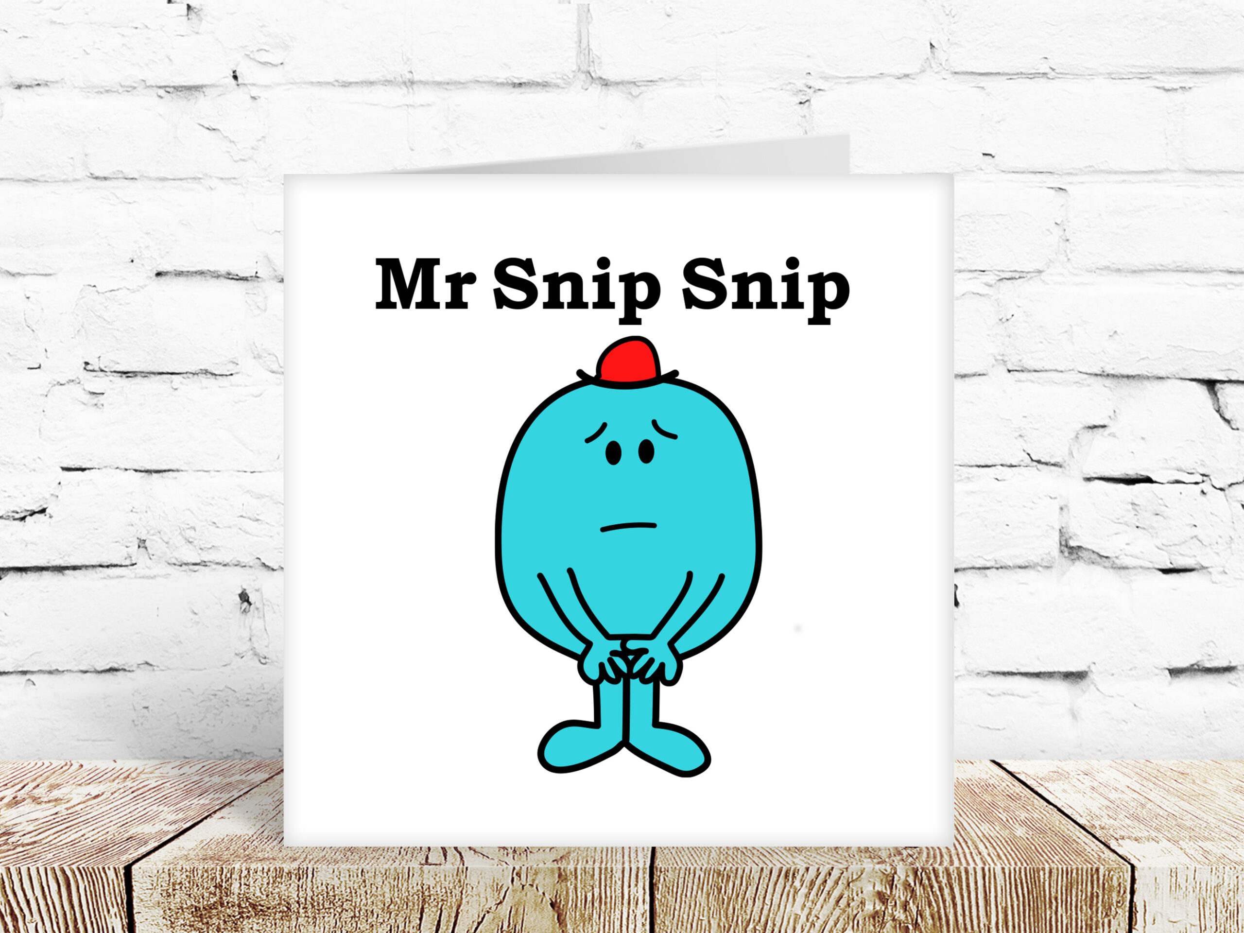 Mr Snip Snip